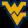 West Virginia Mountaineers