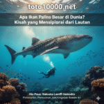 toto10000 daftar